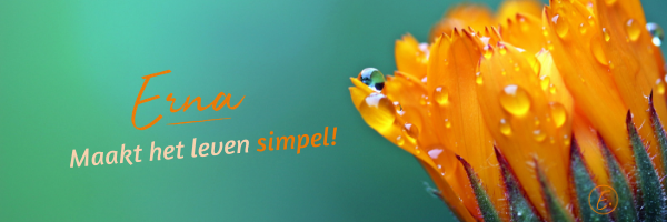 Copy of Facebook omslagfoto Goudsbloem eenvoud